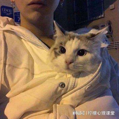 魔神乱世手游官方版下载