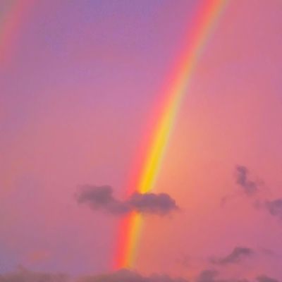 宝宝梦想空姐内购破解版下载